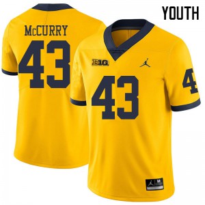 Michigan Wolverines #43 Jake McCurry Youth Yellow College Football Jersey 961986-392