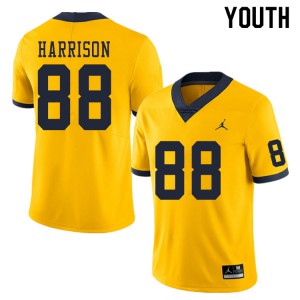 Michigan Wolverines #88 Mathew Harrison Youth Yellow College Football Jersey 401938-438